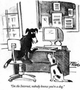 Don't hire a dog